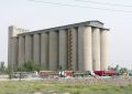 ظرفیت ذخیره سازی استاندارد گندم در استان خوزستان مطلوب است