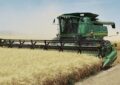 ۴۲ هزار تن گندم در سیلوهای خوزستان ذخیره سازی شد