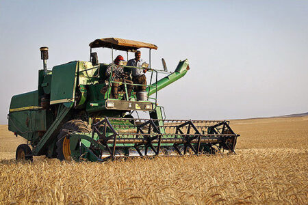 خرید تضمینی گندم در خوزستان به ۸۸۰هزار تن رسید