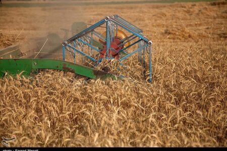 خرید بیش از یک میلیون و ۳۲۰ هزار تن گندم در خوزستان  