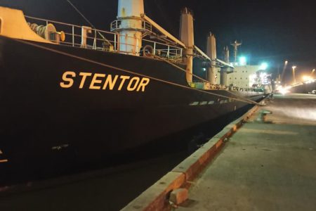 پهلوگیری کشتی اقیانوس پیما در بندر امام خمینی (ره)